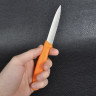 Набор овощных ножей VICTORINOX Swiss Classic 6.7116.32